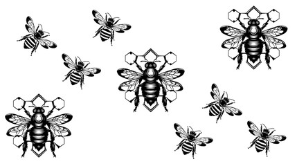 vector isolated set of insect silhouettes,Hand drawn vector illustration. Vector drawing of tree honeybee