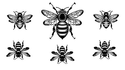 vector isolated set of insect silhouettes,Hand drawn vector illustration. Vector drawing of tree honeybee