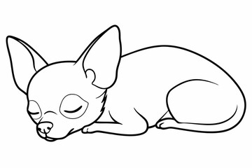 Chihuahua Dog breed line art vector Isolated on white background 
