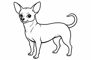 Chihuahua Dog breed line art vector Isolated on white background 