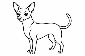 Chihuahua Dog breed line art vector Isolated on white background 