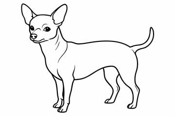 Chihuahua Dog breed line art vector Isolated on white background 