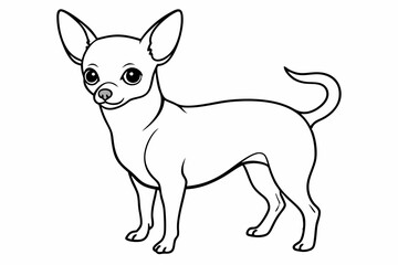 Chihuahua Dog breed line art vector Isolated on white background 