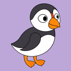 Puffin vector illustration