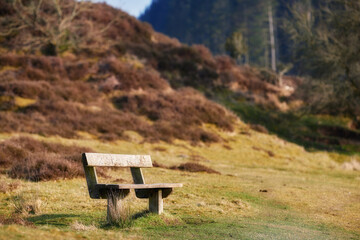 Nature, bench and landscape for relax with calm in outdoor, peace in environment for with space. Freedom, park and rest spot with scenic view in countryside for travel, chair for wellness in Norway