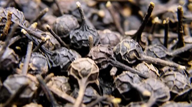 Slow motion video of dried cubeba seeds or Piper cubeba