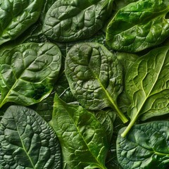 Obraz premium Fresh green vegetable leaves, perfect for a healthy salad background