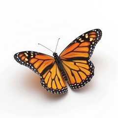 Fototapeta premium 3d Monarch butterfly isolated on the white background