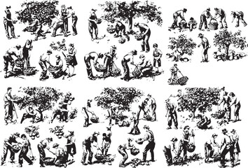 picking apple silhouettes