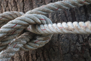 Fototapeta premium hemp rope texture large hemp rope bundled together