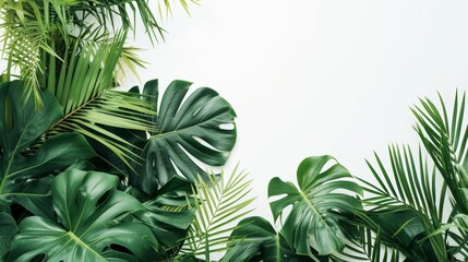 A burst of jungle-like tropical plant leaves against a stark white backdrop AI generated illustration