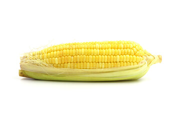 Fresh corn ears with leaves set isolated on white background as package design element