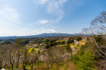 霞ヶ城公園の桜