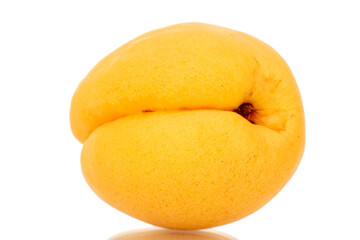 One ripe apricot, macro, isolated on white background.