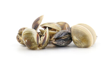 Closed up fresh baby clams, venus shell, shellfish, carpet clams, short necked clams, as raw food from the sea are the seafood ingredients. fresh clams isolated on white background.