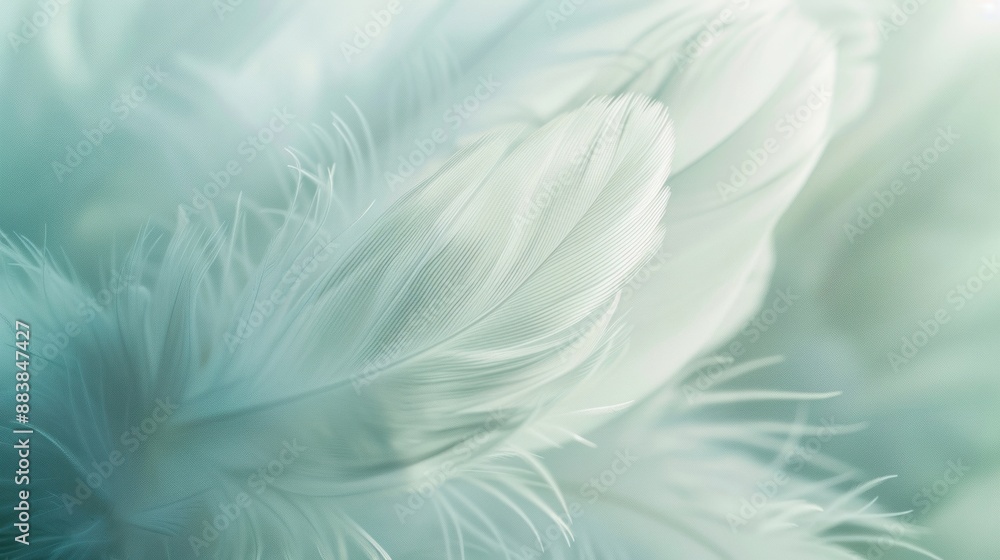 Poster a close-up shot of soft white feathers creating a delicate and serene atmosphere with intricate deta