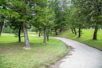 Walkway on the golf course There are big shady trees.