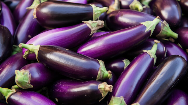 Explore vibrant market stalls adorned with fresh eggplants, their deep purple hues inviting you to create delicious dishes.
