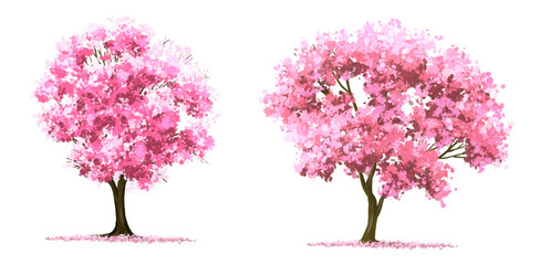  Vector watercolor blooming flower tree or forest side view isolated on white background for landscape and architecture drawing,elements for environment or and garden,Sakura tree for section 