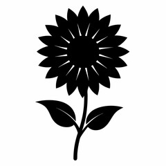 sunflower isolated on white background