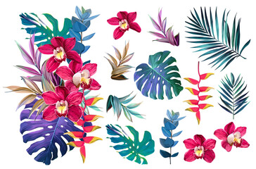 Set of tropical flowers and plants. Bouquet of flowers vector. Exotic, jungle, tropic