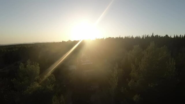 Aerial FPV video over the Ben Shemen forest on a sunny day in Israel