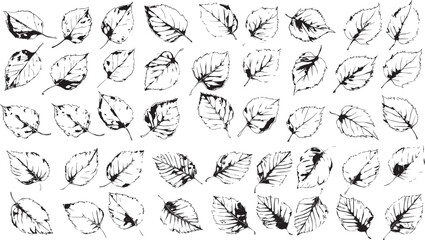 birch leaf silhouettes