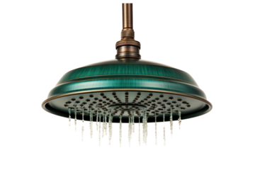 A vintage-style showerhead with a classic design, isolated on a white background