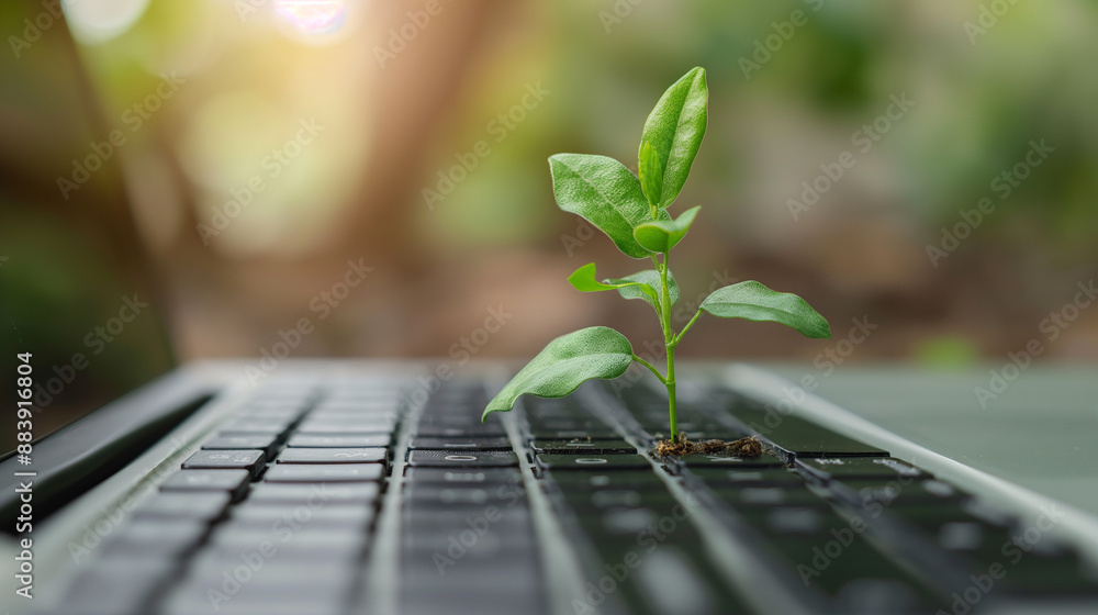 Poster close-up of a tree growing on a computer keyboard green information technology environmentally susta