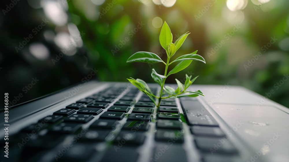 Poster close-up of a tree growing on a computer keyboard green information technology environmentally susta