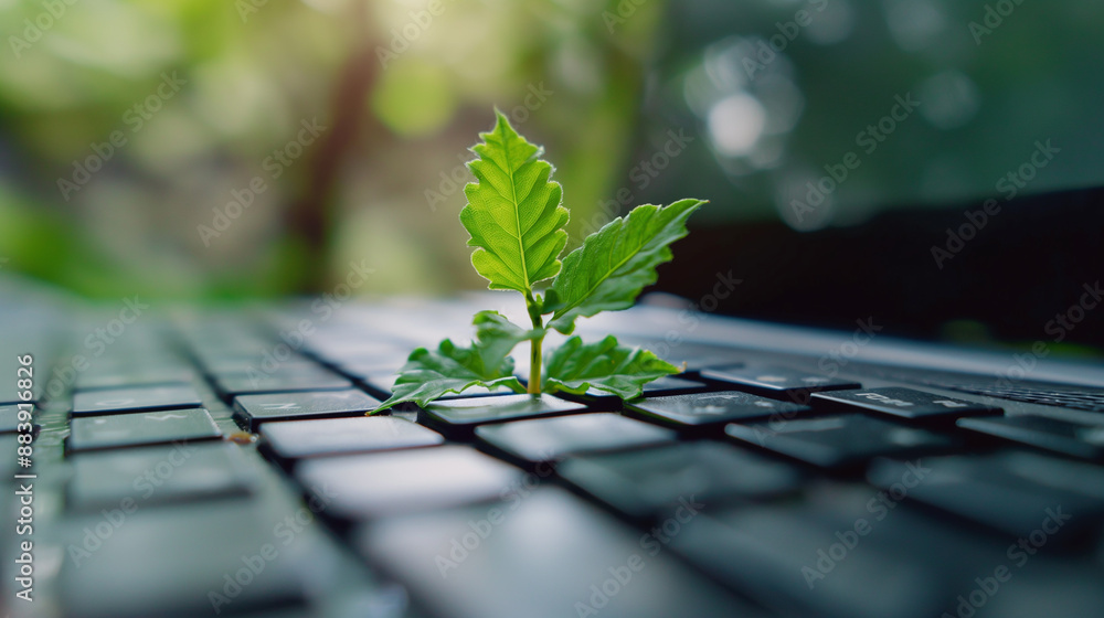 Poster close-up of a tree growing on a computer keyboard green information technology environmentally susta