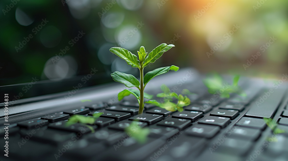 Poster close-up of a tree growing on a computer keyboard green information technology environmentally susta