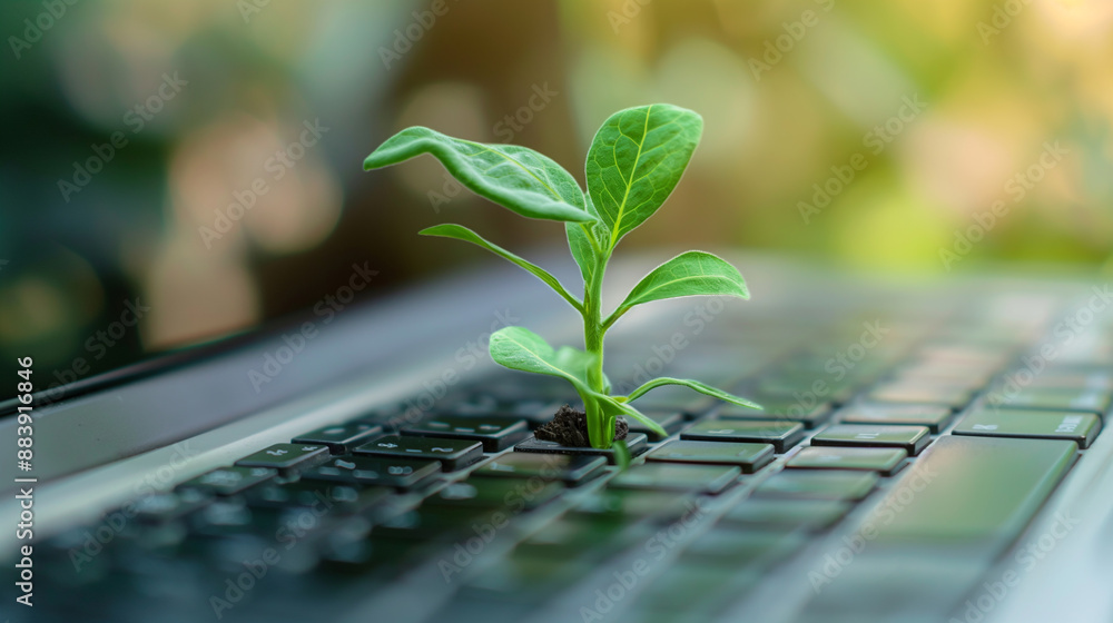Poster close-up of a tree growing on a computer keyboard green information technology environmentally susta