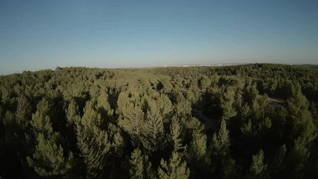 Aerial FPV video over the Ben Shemen forest on a sunny day in Israel