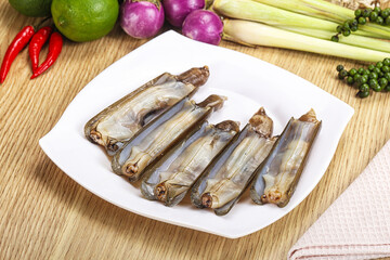 Raw fresh Razor clam mollusk