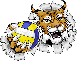 A wildcat cougar lynx lion volleyball animal sports mascot holding a volley ball in his claw