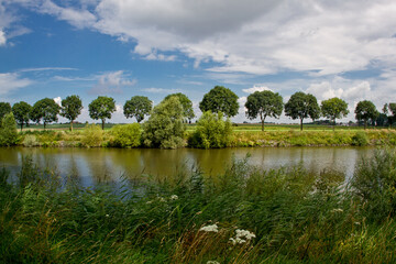 Landscape of river bank on clear summer day.  Natural scene of nature in the belgian countryside. Trees and plants on river
