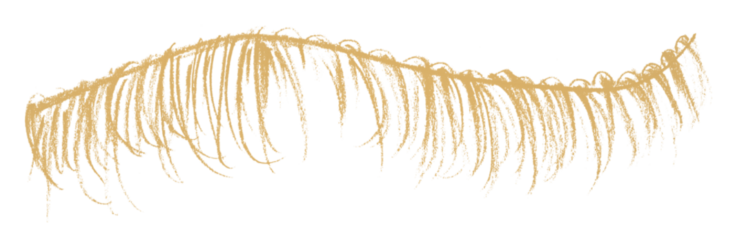 Light brown pencil strokes in a simple style, isolated on a transparent background.