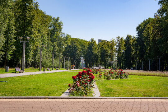 Alley in the Victory park, Minsk, Belarus