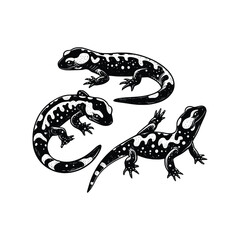 hand drawn set Illustration of Gecko . vintage engraving gecko vector illustration isolated on white background