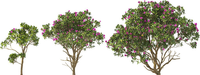 shrubs bush rhotodendron booming hq arch viz cut out plants © Mathias Weil