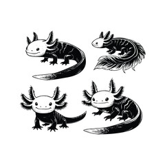 hand drawn set Illustration of Axolotl. vintage engraving axolotl vector illustration isolated on white background