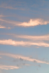 Clouds at sunset. Pink and yellow big clouds at sunset