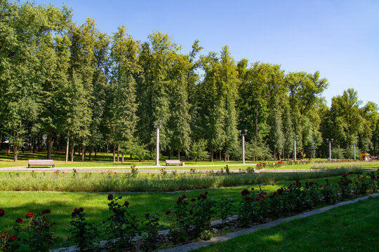 Alley in the Victory park, Minsk, Belarus