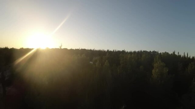 Aerial FPV video over the Ben Shemen forest on a sunny day in Israel