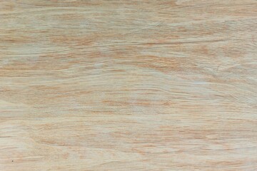 Wood texture background, wood planks. Grunge wood, painted wooden wall pattern