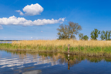 Landschaft am Achterwasser bei Warthe auf der Insel Usedom