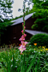 Old Mill Music and RV Park, TN 