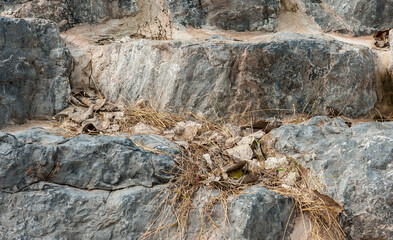 Surface of the stone slab has a natural pattern.