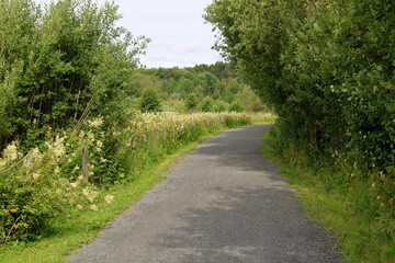 Footpath
